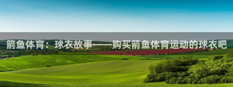 bbin视讯游戏平台：箭鱼体育：球衣故事——购买箭鱼体育运动的球衣吧