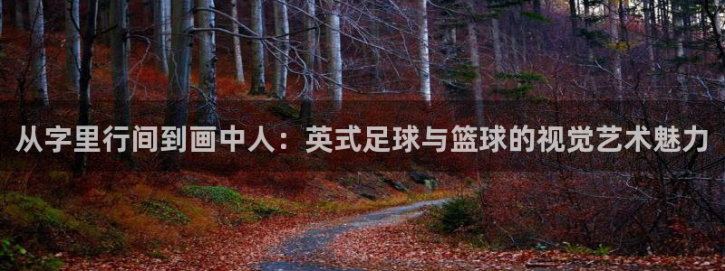 bbin视讯：从字里行间到画中人：英式足球与篮球的视觉艺术魅力