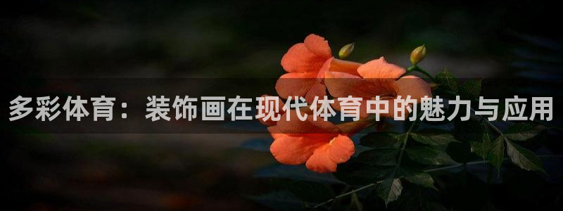 bbin视讯游戏平台：多彩体育：装饰画在现代体育中的魅力与应用