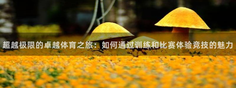 bbin视讯游戏平台：超越极限的卓越体育之旅：如何通过训练和比赛体验竞技的魅力