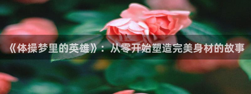 bbin视讯：《体操梦里的英雄》：从零开始塑造完美身材的故事