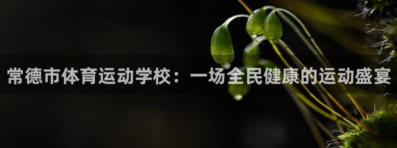 bbin视讯下：常德市体育运动学校：一场全民健康的运动盛宴