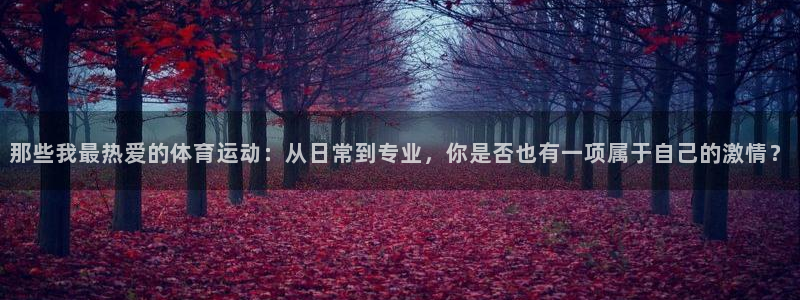 bbin视讯游戏官网：那些我最热爱的体育运动：从日常到专业，你是否也有一项属于自己的激情？