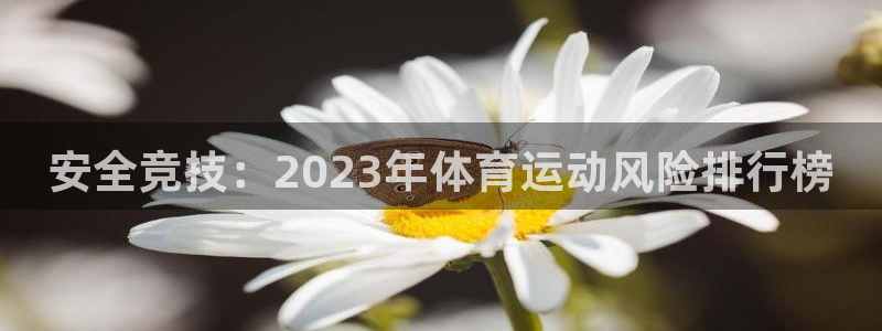 bbin视讯下