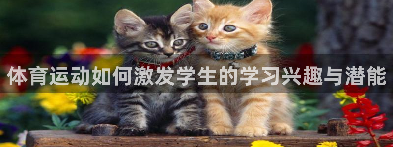 bbin视讯下：体育运动如何激发学生的学习兴趣与潜能
