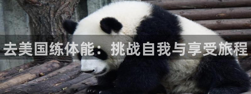 bbin视讯下：去美国练体能：挑战自我与享受旅程