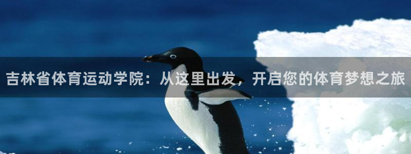 bbin视讯：吉林省体育运动学院：从这里出发，开启您的体育梦想之旅